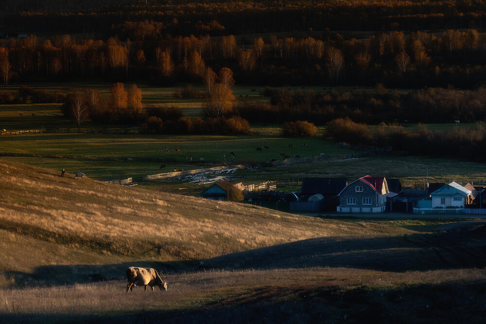 Photograph by Татьяна Бирюкова