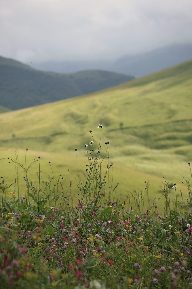 Photograph by Полина Сульженко
