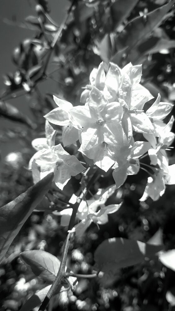 Photograph by claudia