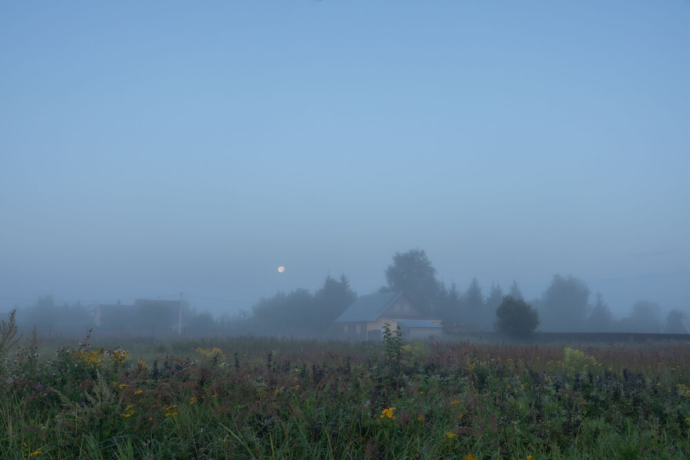 Photo #13886893