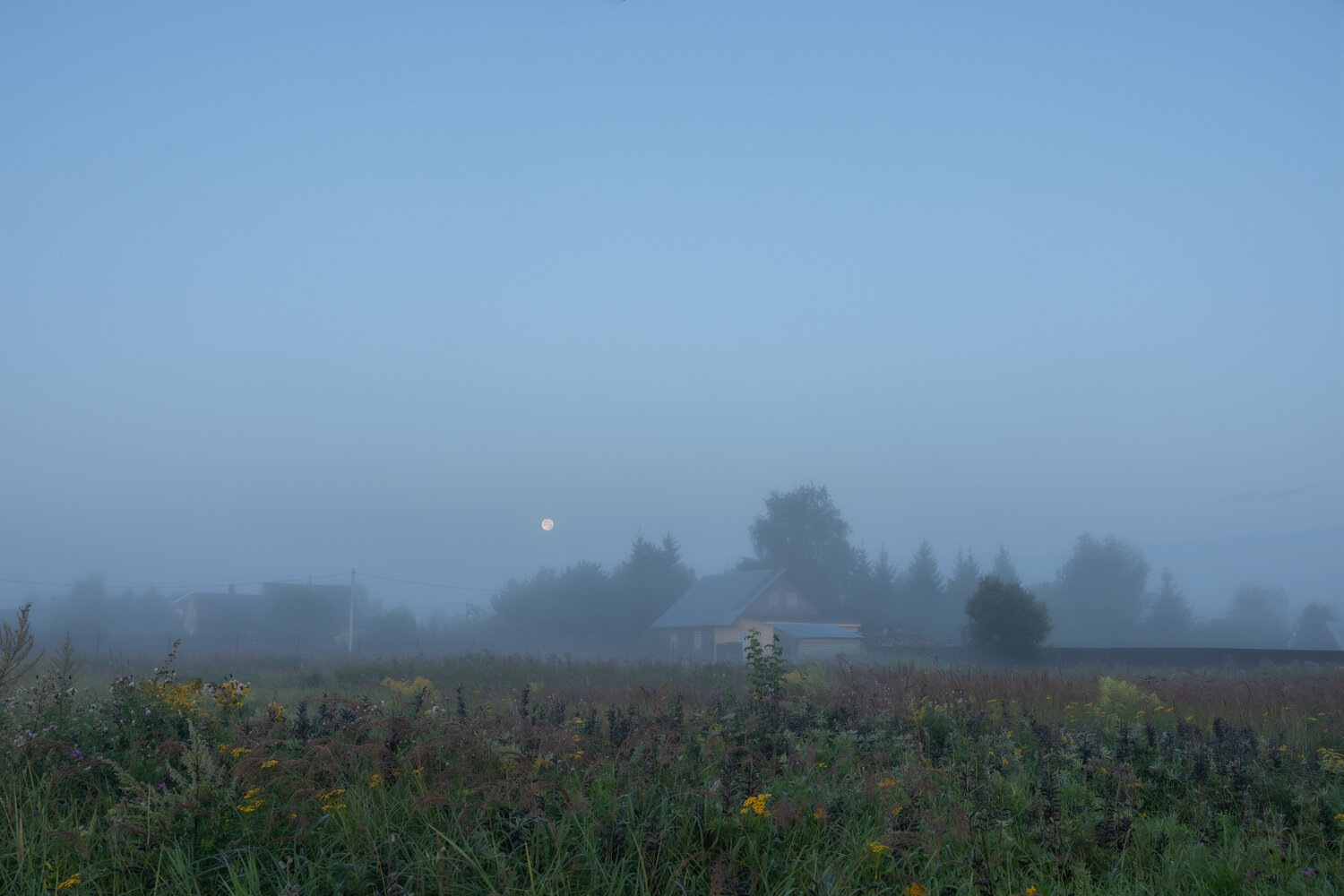 Photo #13886893