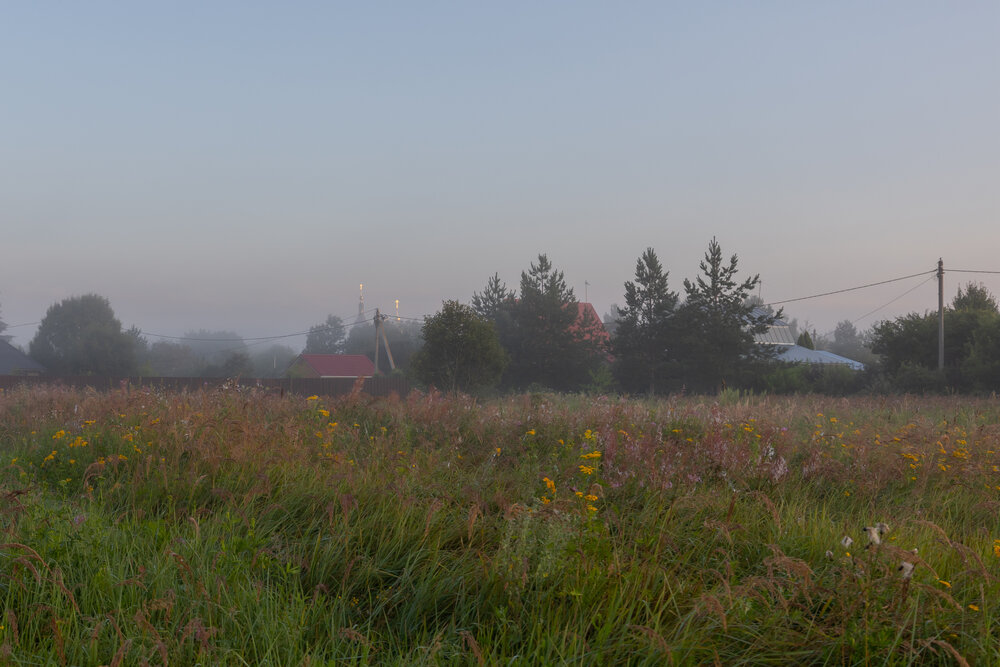 Photo #13886895