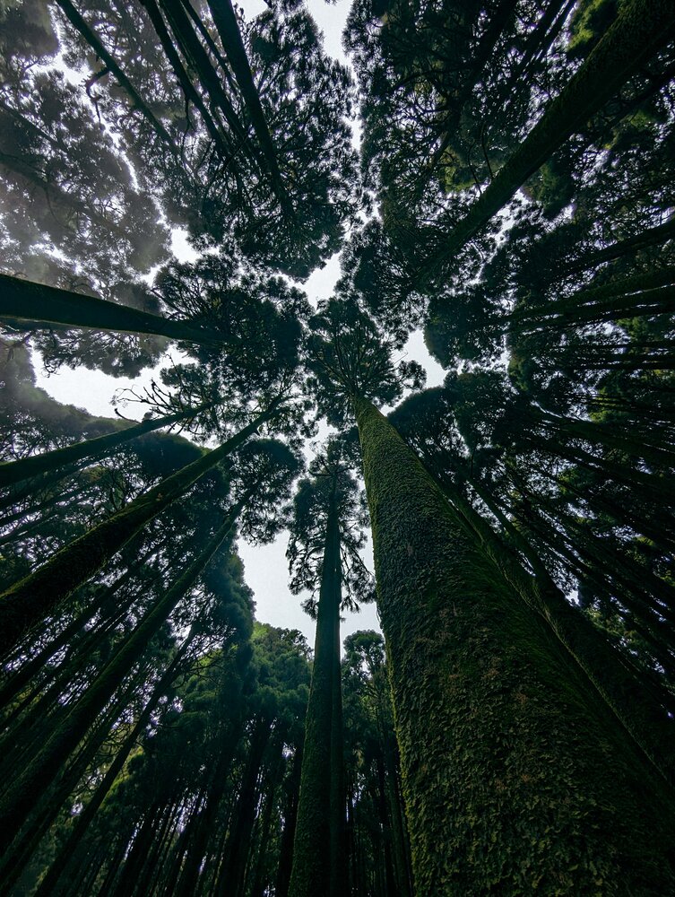Фотография автора Subhadeep Ghosh