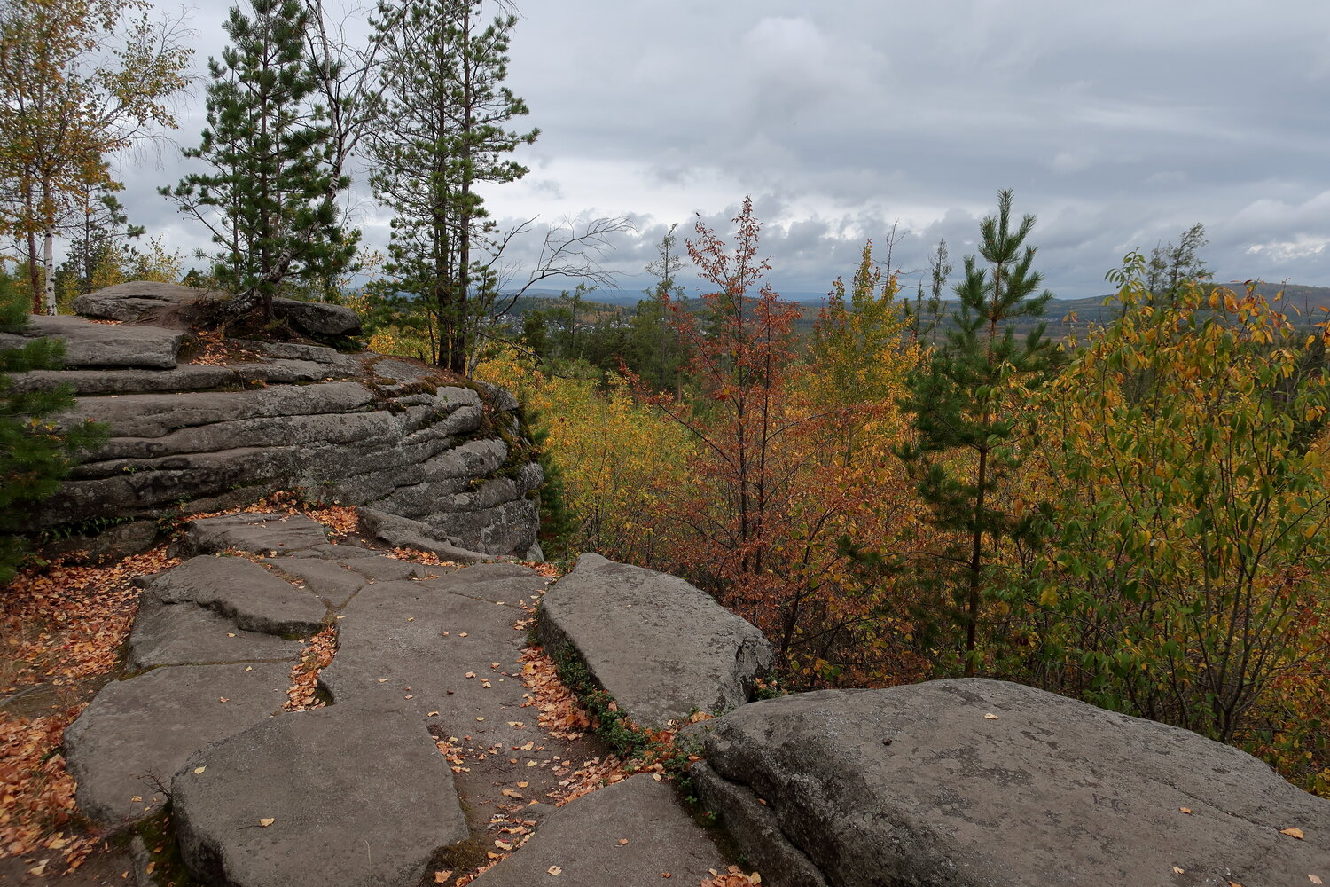 Photo #13886934