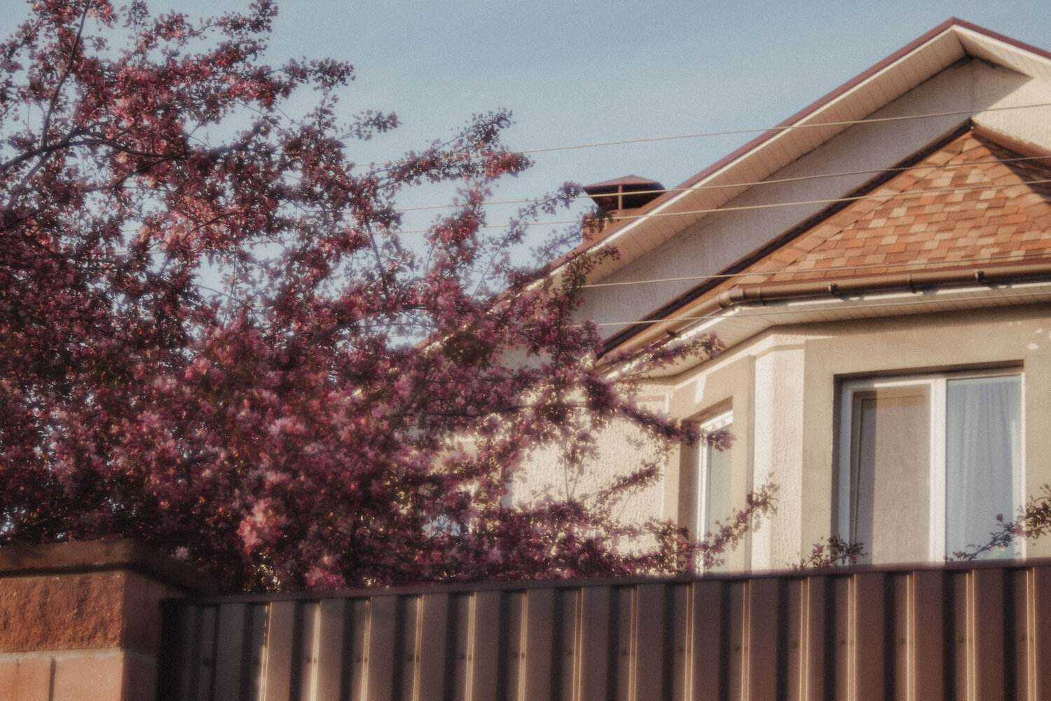Photo #13886935