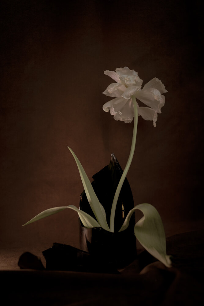 Photograph by Наталья Чурашова
