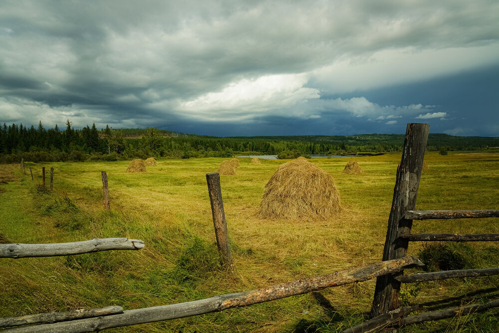 Photograph by Алексей Мякота