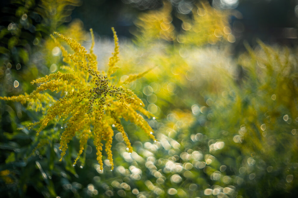 Photograph by Олег Дорошенко