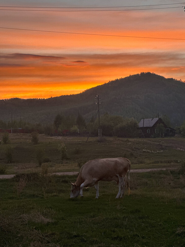 Photograph by Ирина Маркина