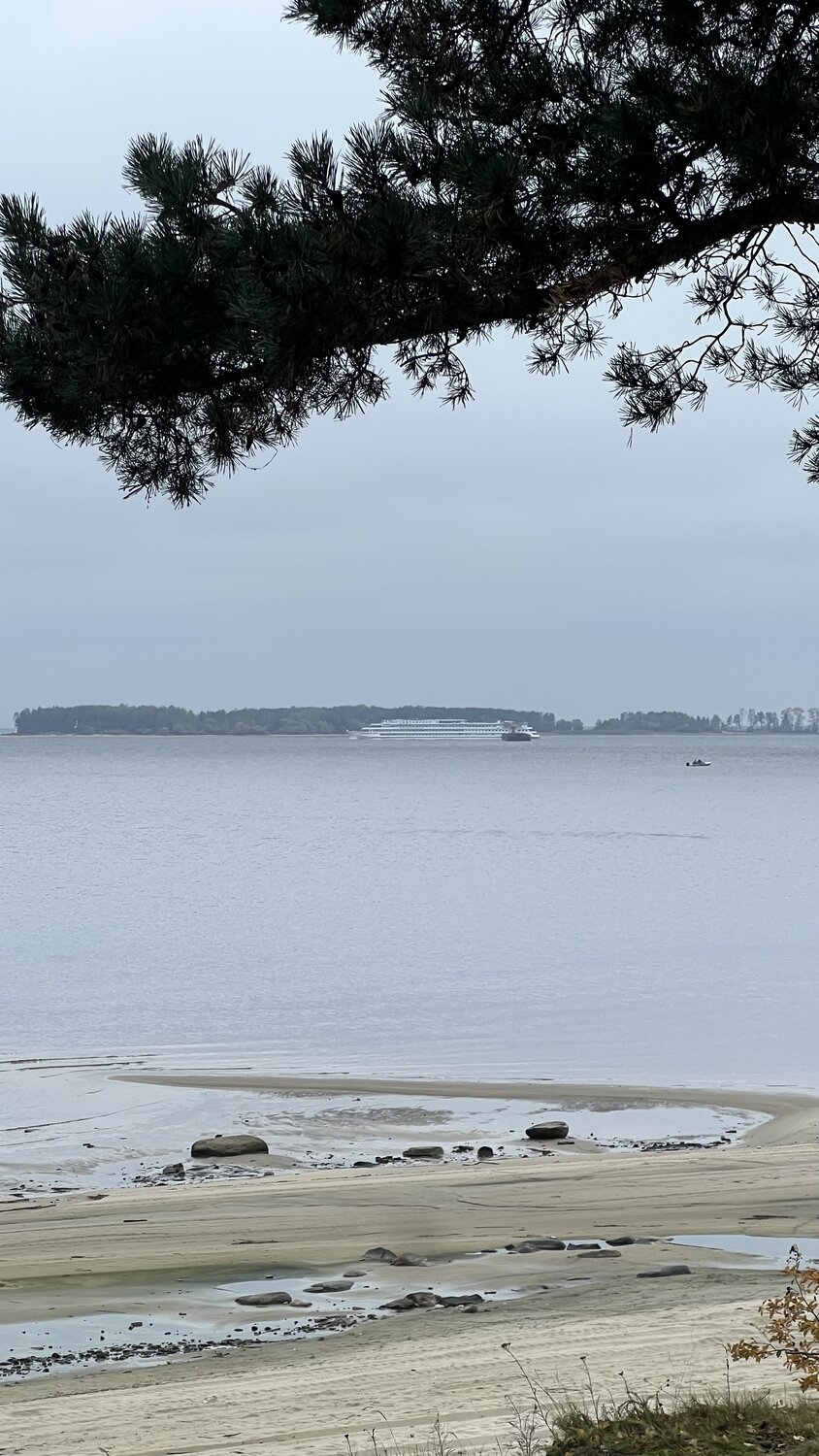 Photo #13887084