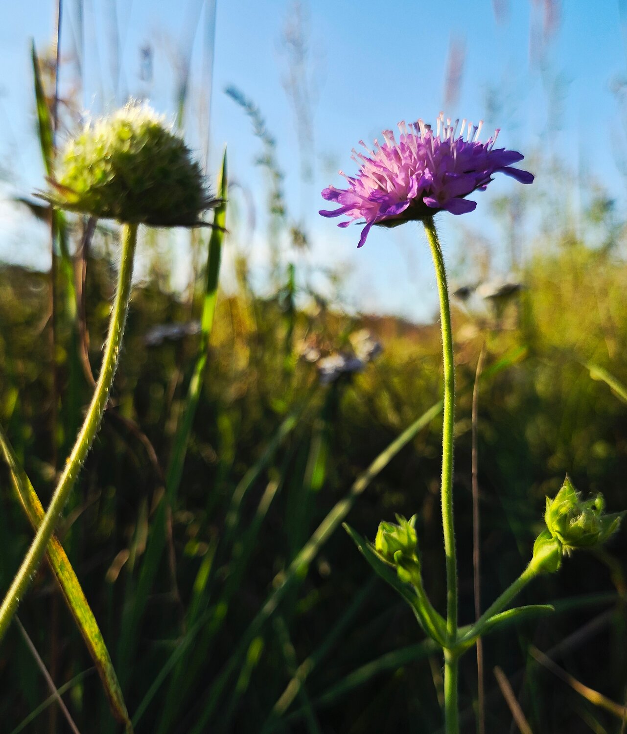 Photo #13887144