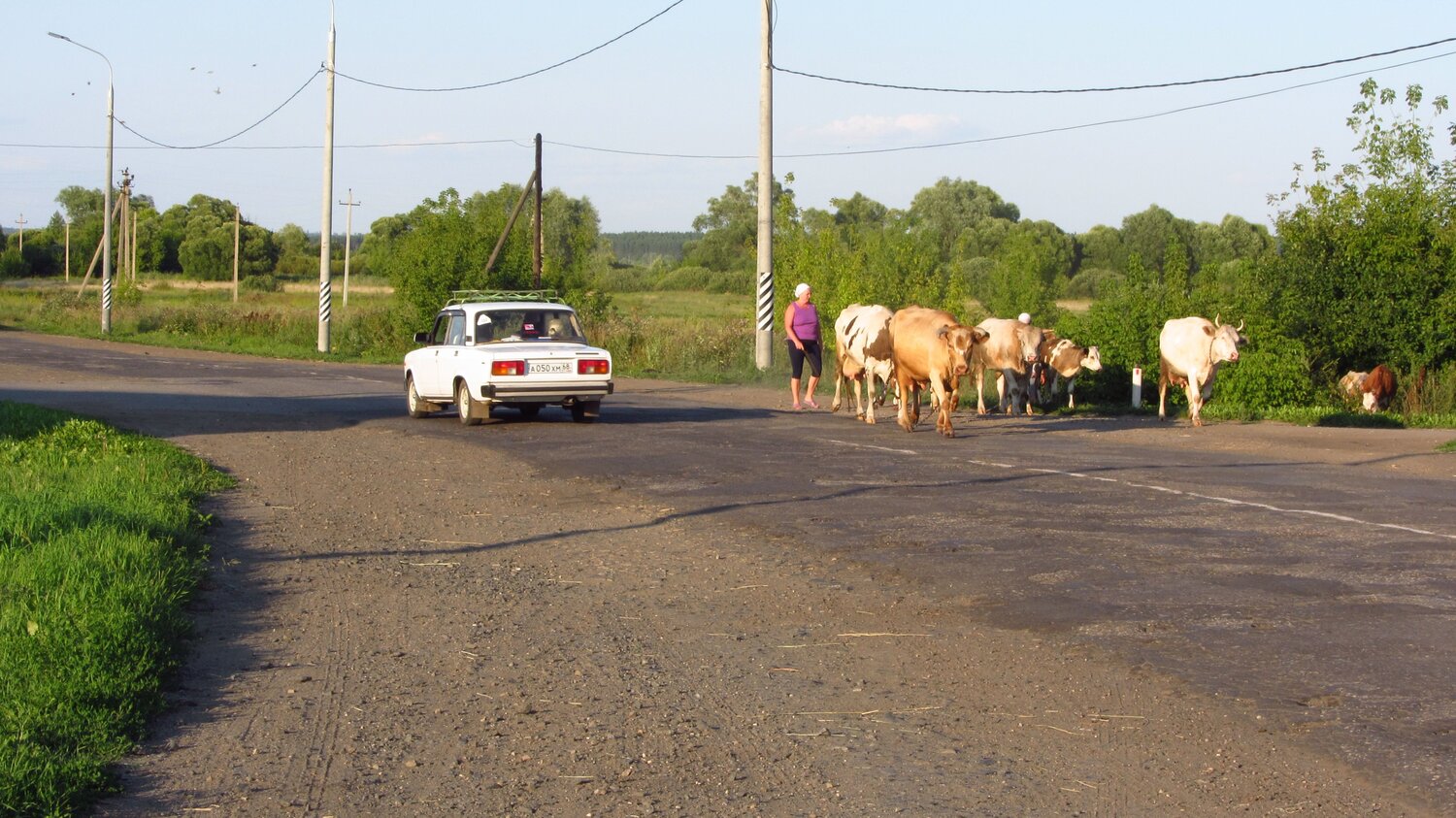 Photo #13887203