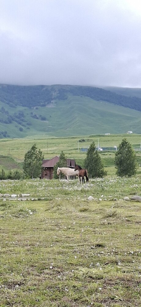 Photograph by Анастасия Свистунова