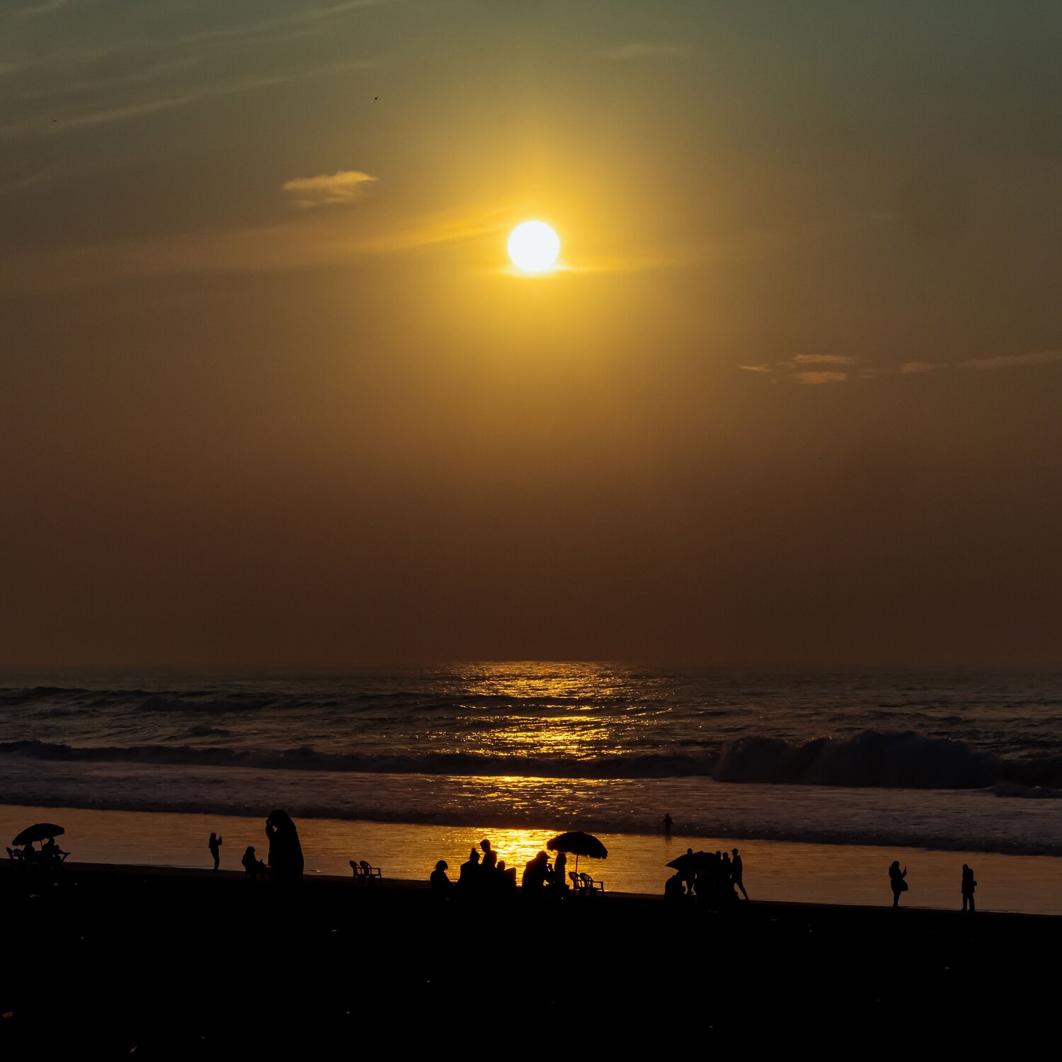Photo #13887233