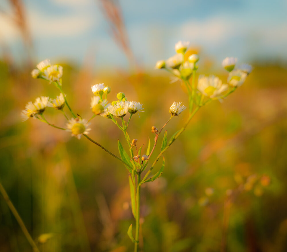 Photograph by Александр Косяков