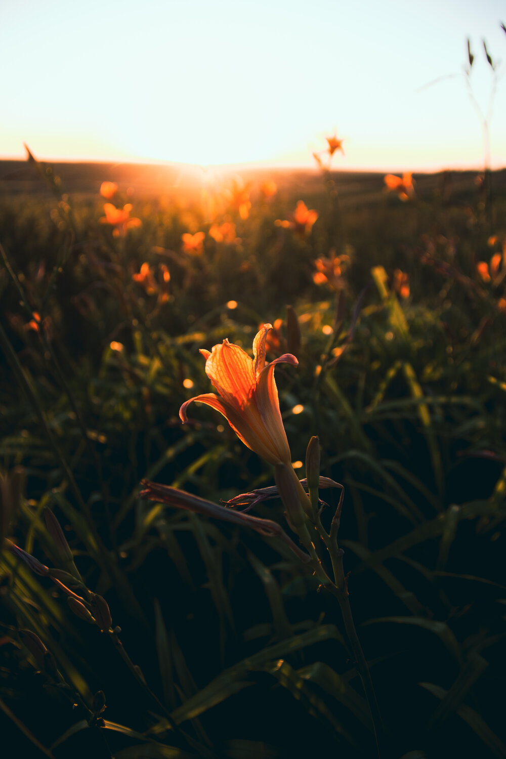 Photo #13887299