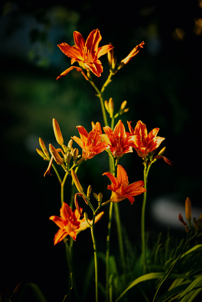 Photograph by Александр Косяков