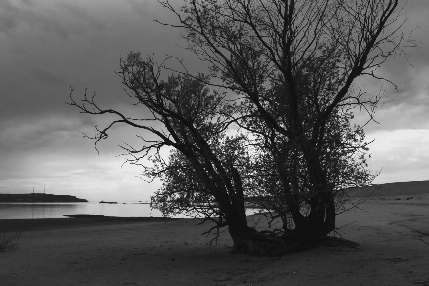 Photo #13887341