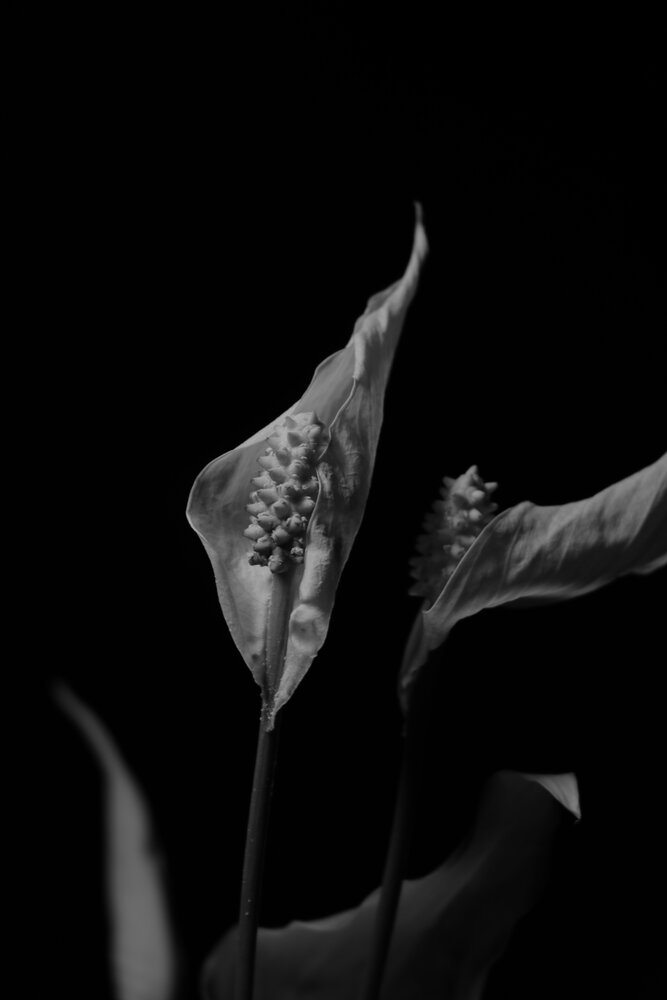 Photograph by Татьяна