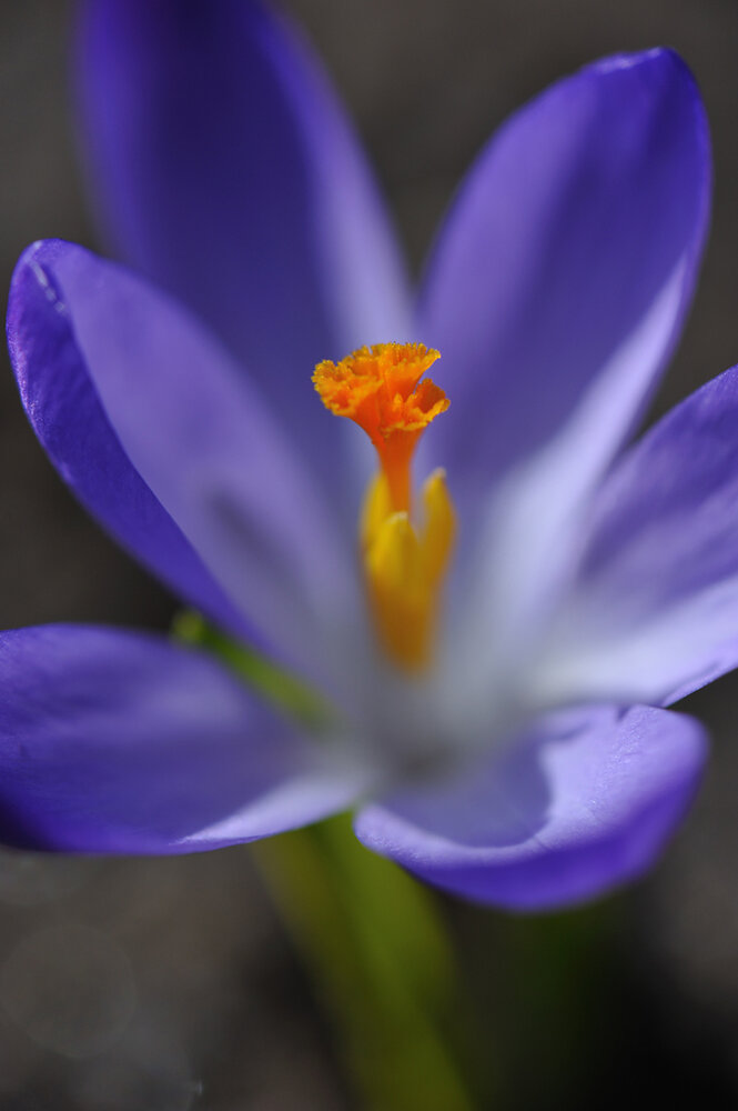Photograph by Березкин Виктор