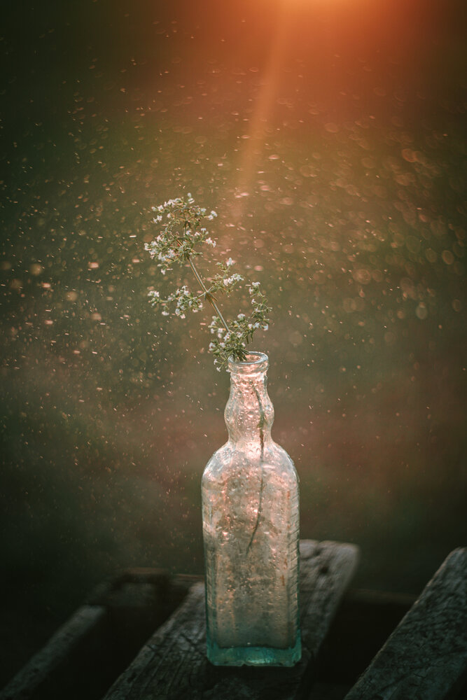 Photograph by Юлианна Митрофанова