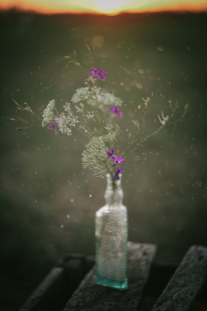 Photograph by Юлианна Митрофанова