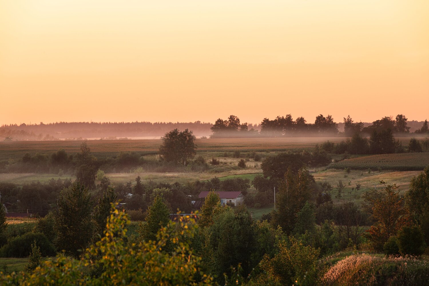 Photo #13887541