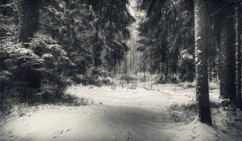 Photograph by Алена Ерошкина