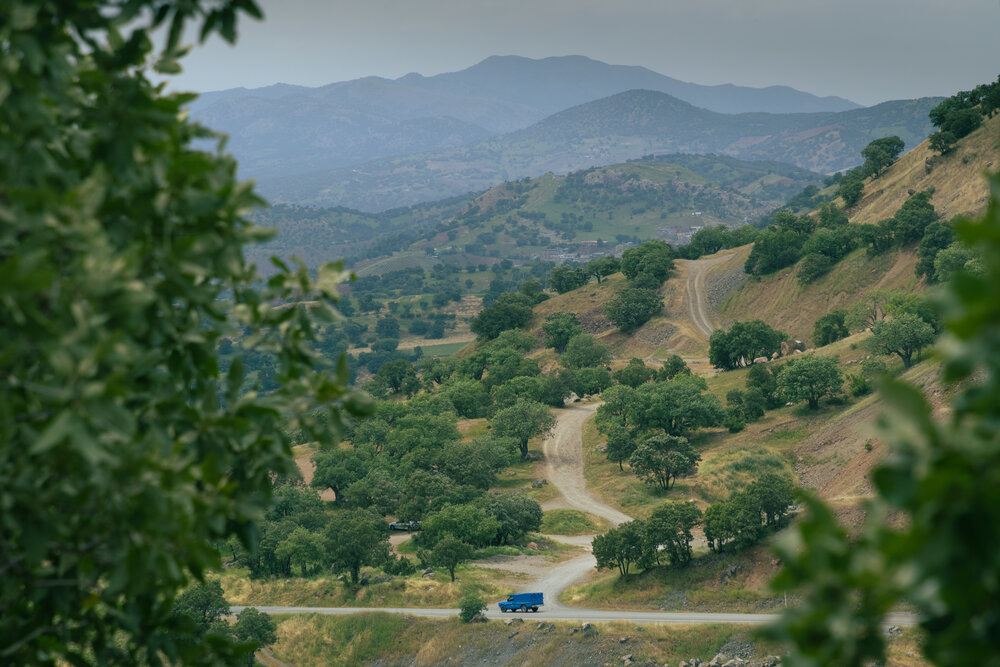 Photograph by pooya hajirahimi