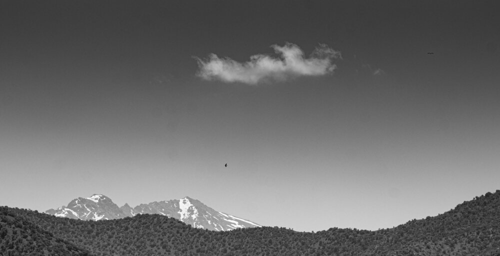 Photograph by pooya hajirahimi