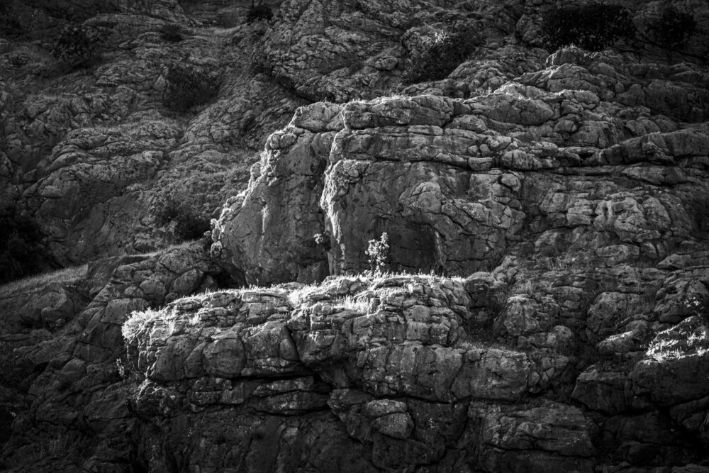 Photograph by pooya hajirahimi