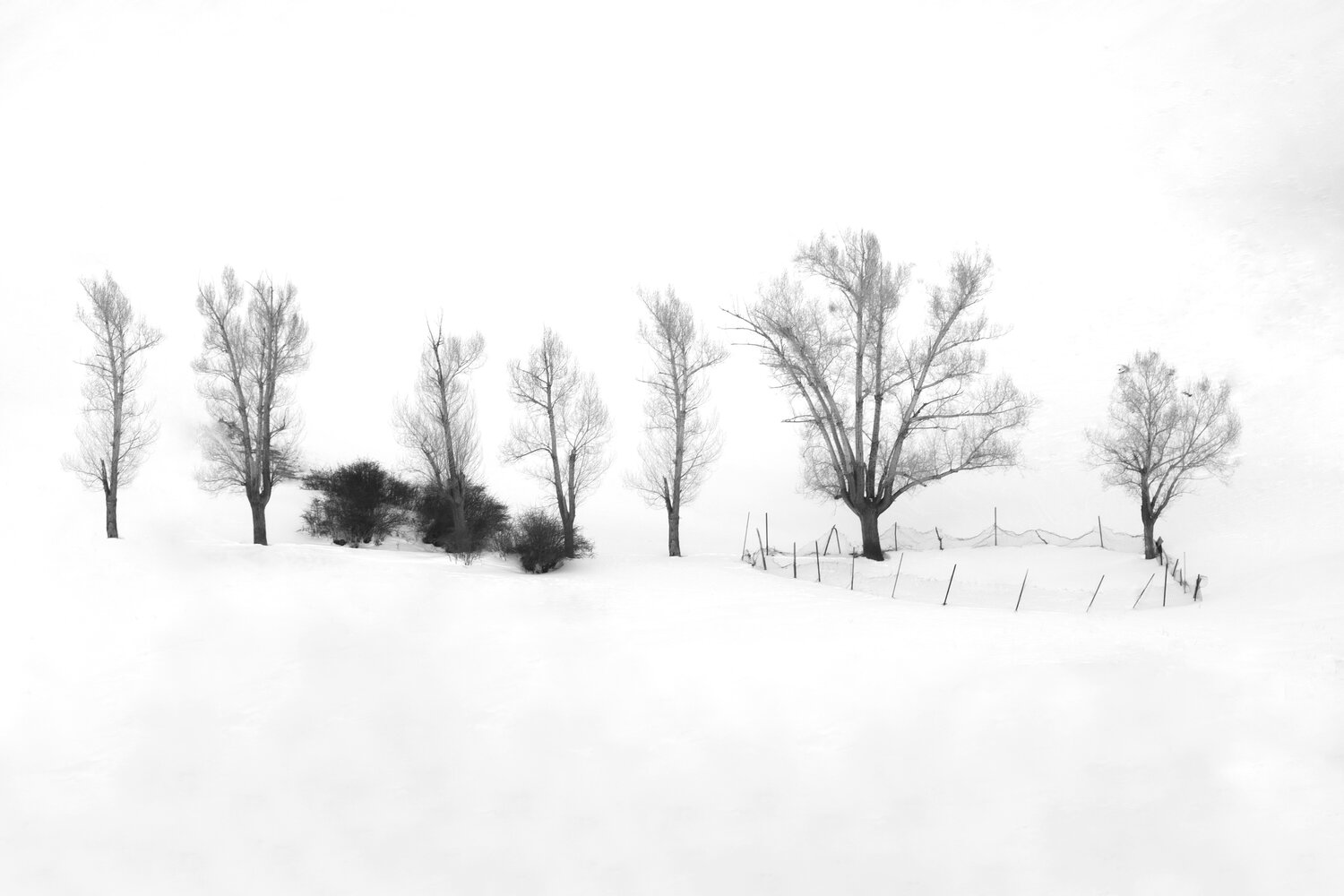 What remains after everything unnecessary disappears.