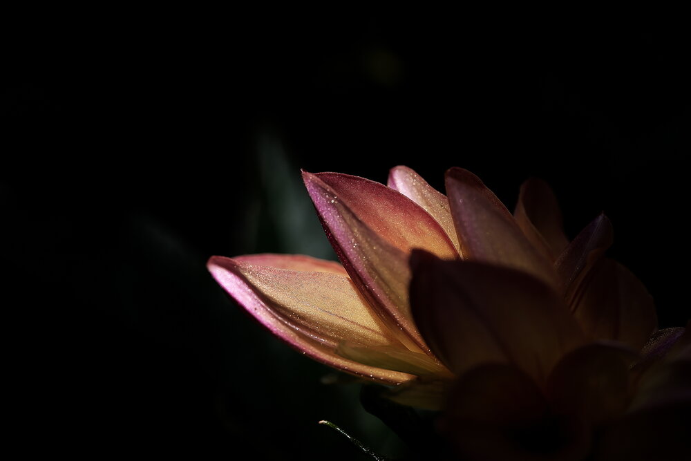 Фотография автора Ikuta Hidenori