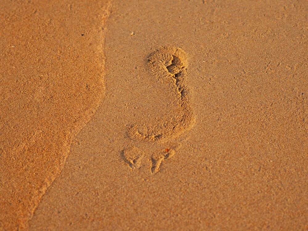Photograph by Денис Дорошенко