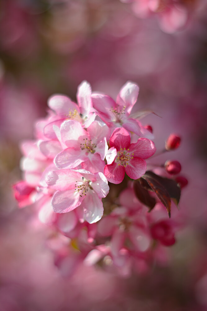 Photograph by Елена Берсенёва