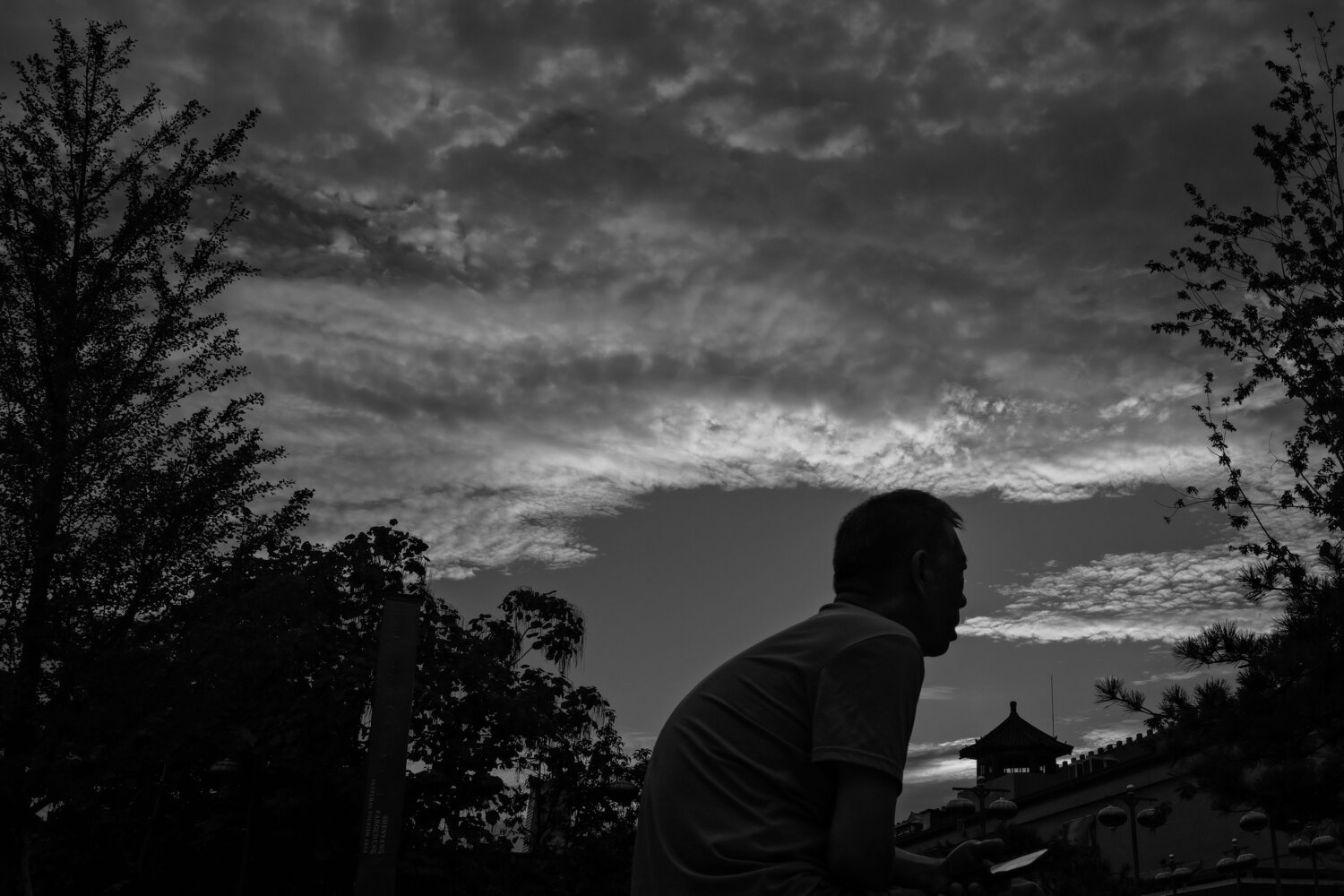 Photo #13887723