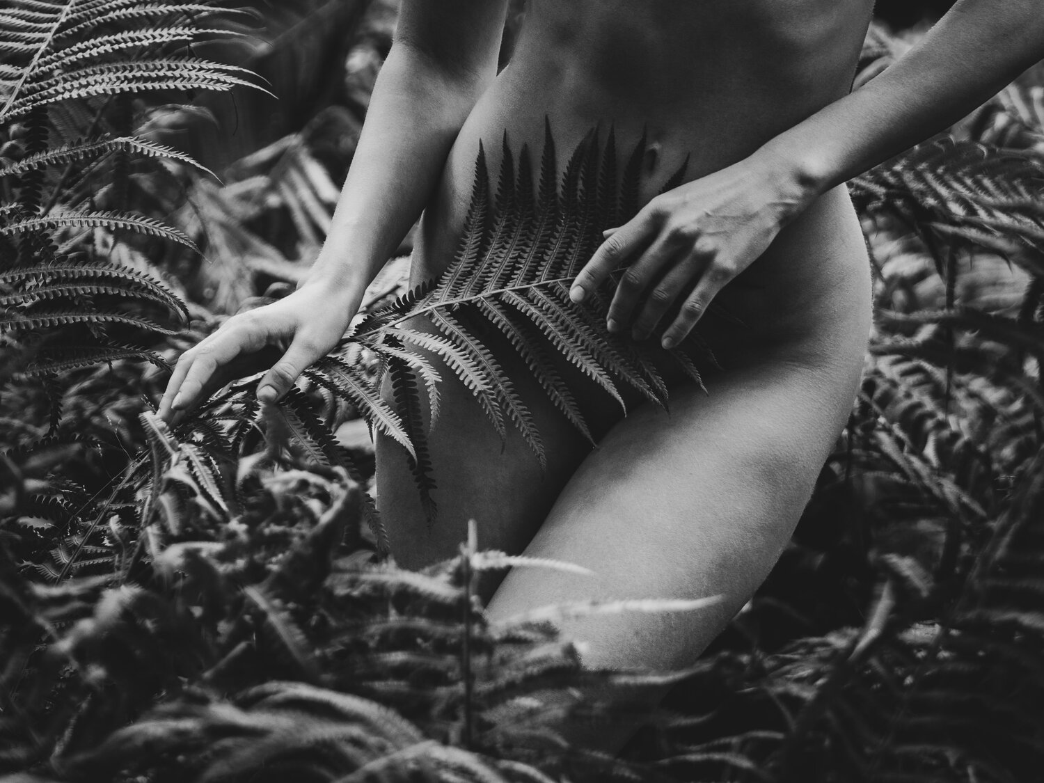 Фотография #13887762