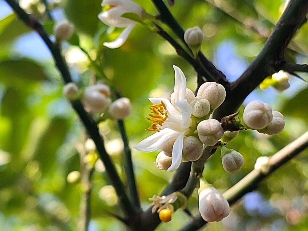 Photograph by Sourav Dutta