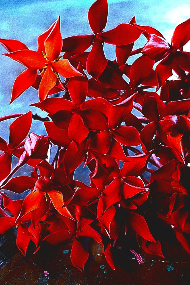 Photograph by Adita Dasgupta