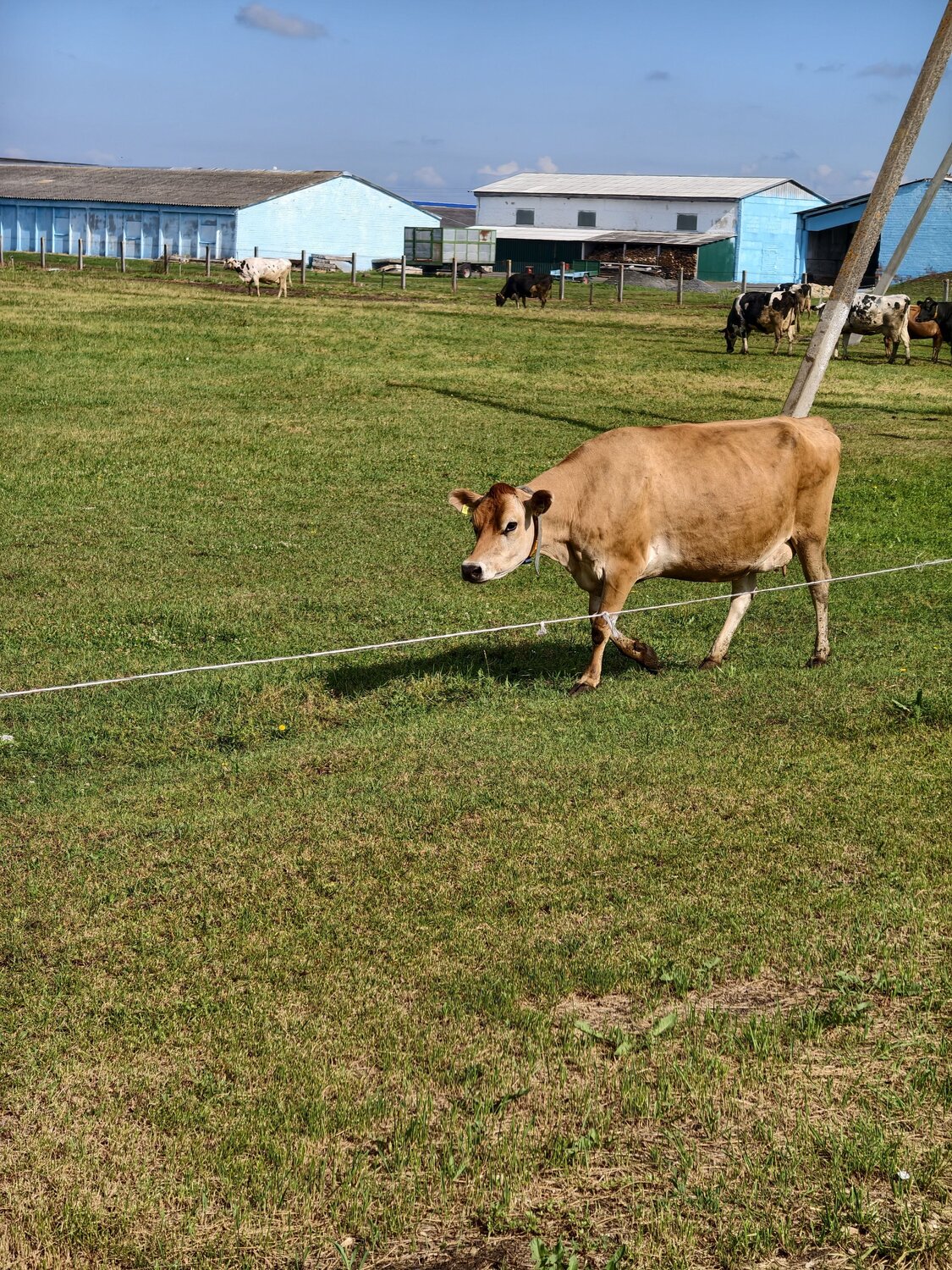 Photo #13887784