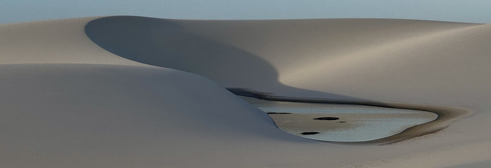 Desert Sanctuary