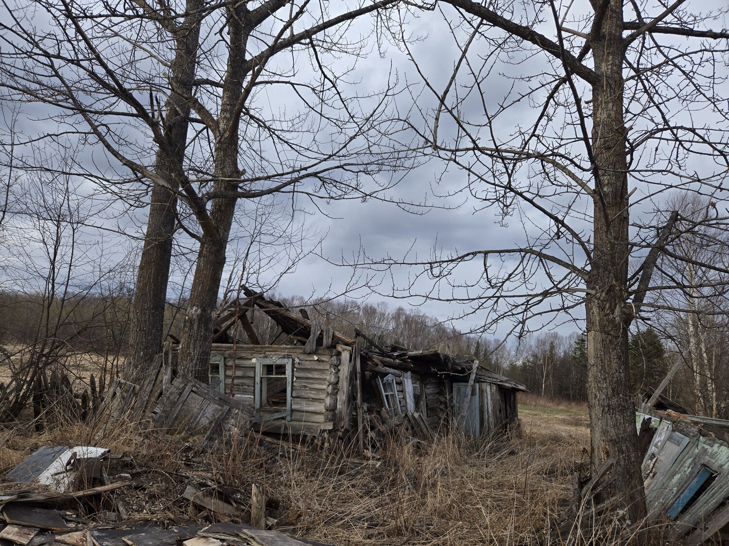 Photo #13887802