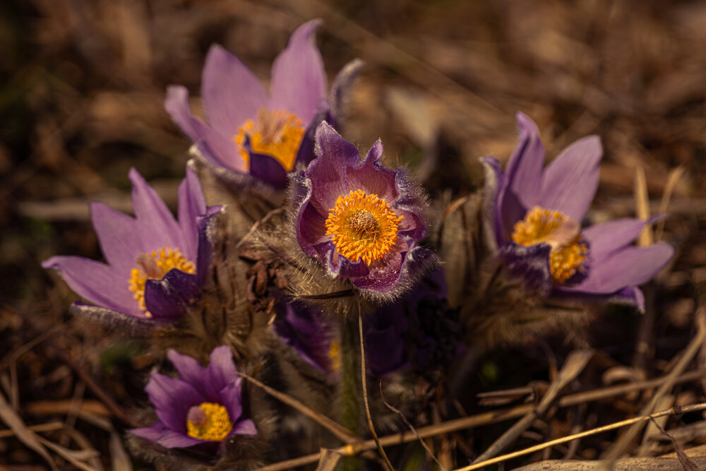 Photograph by Gregor Kobilica