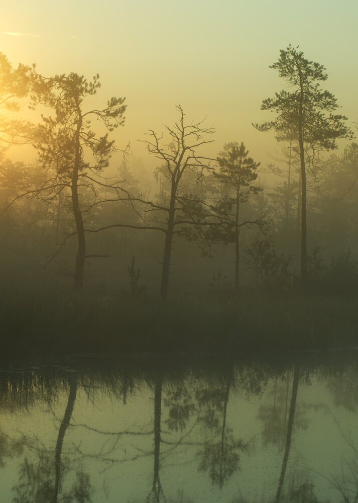 Photograph by Поляков Алексей