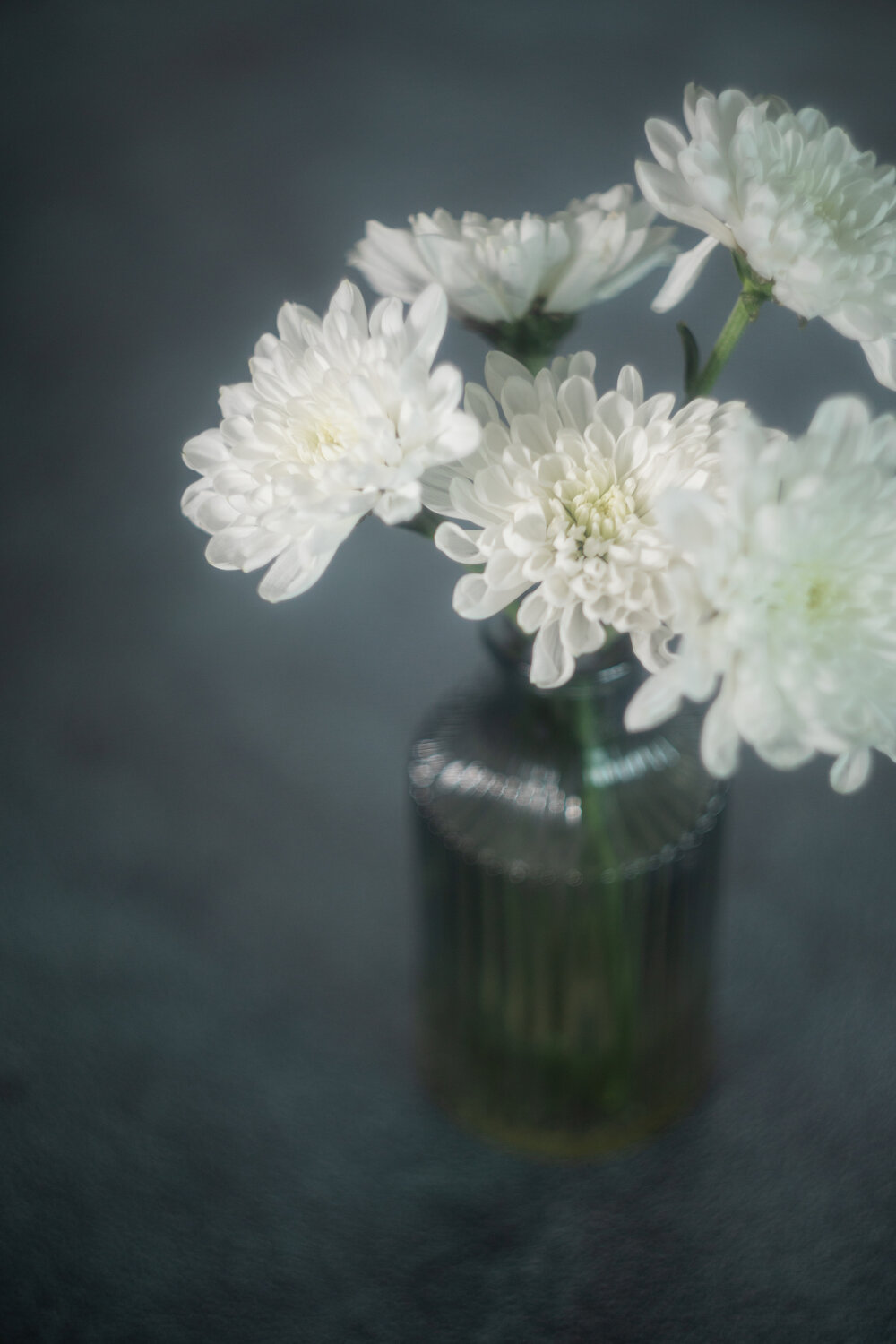 Photo #13887831