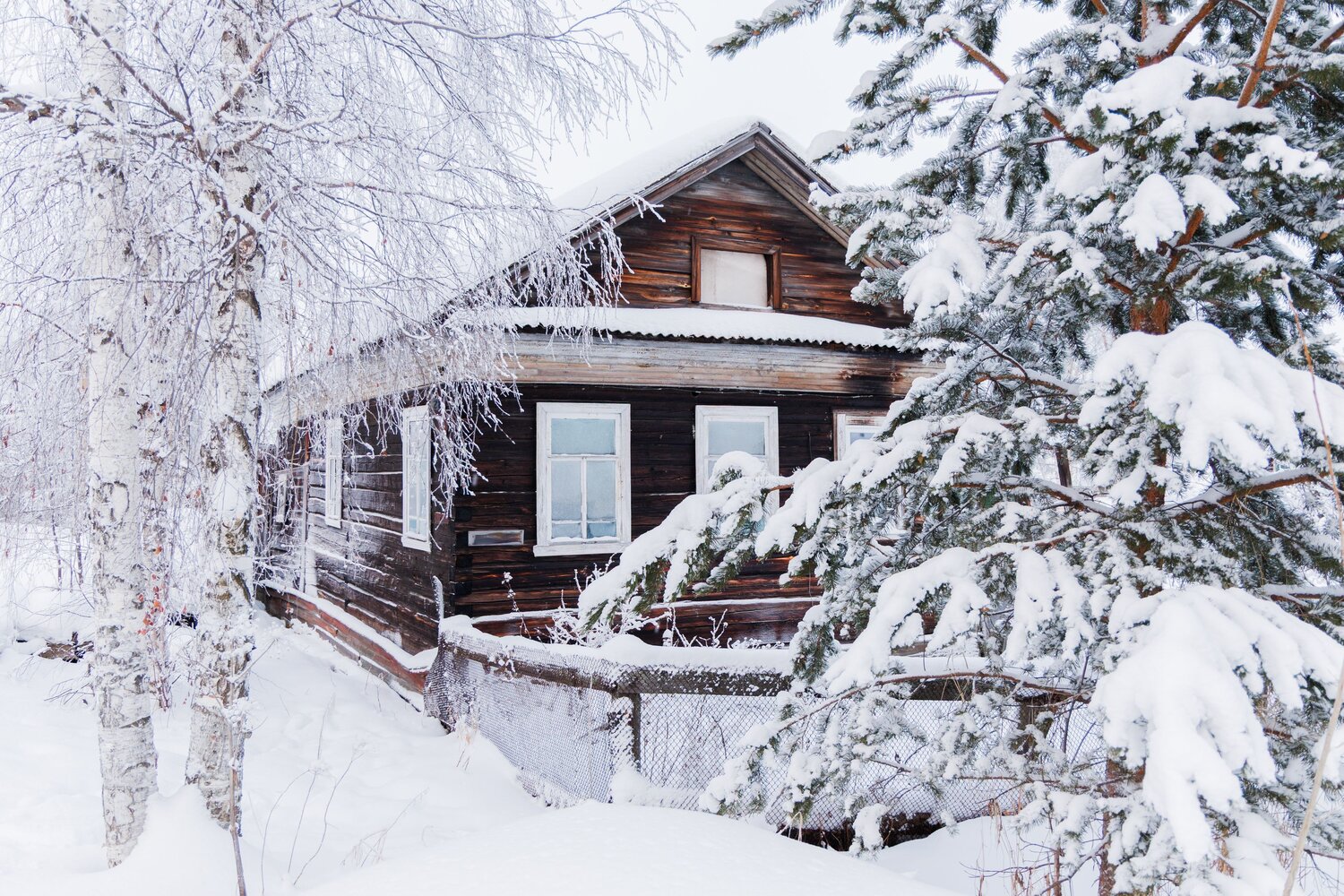 Photo #13887856