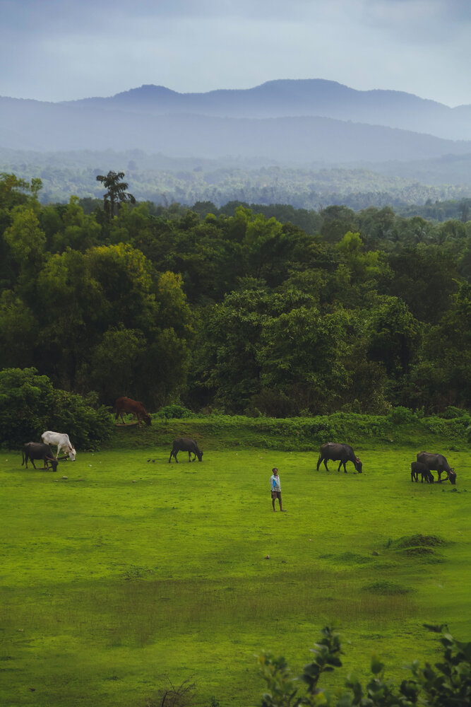 Photograph by Tanaya Manohar Dhuri