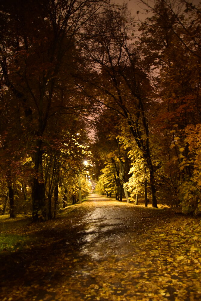 Photograph by Ольга Рыкова
