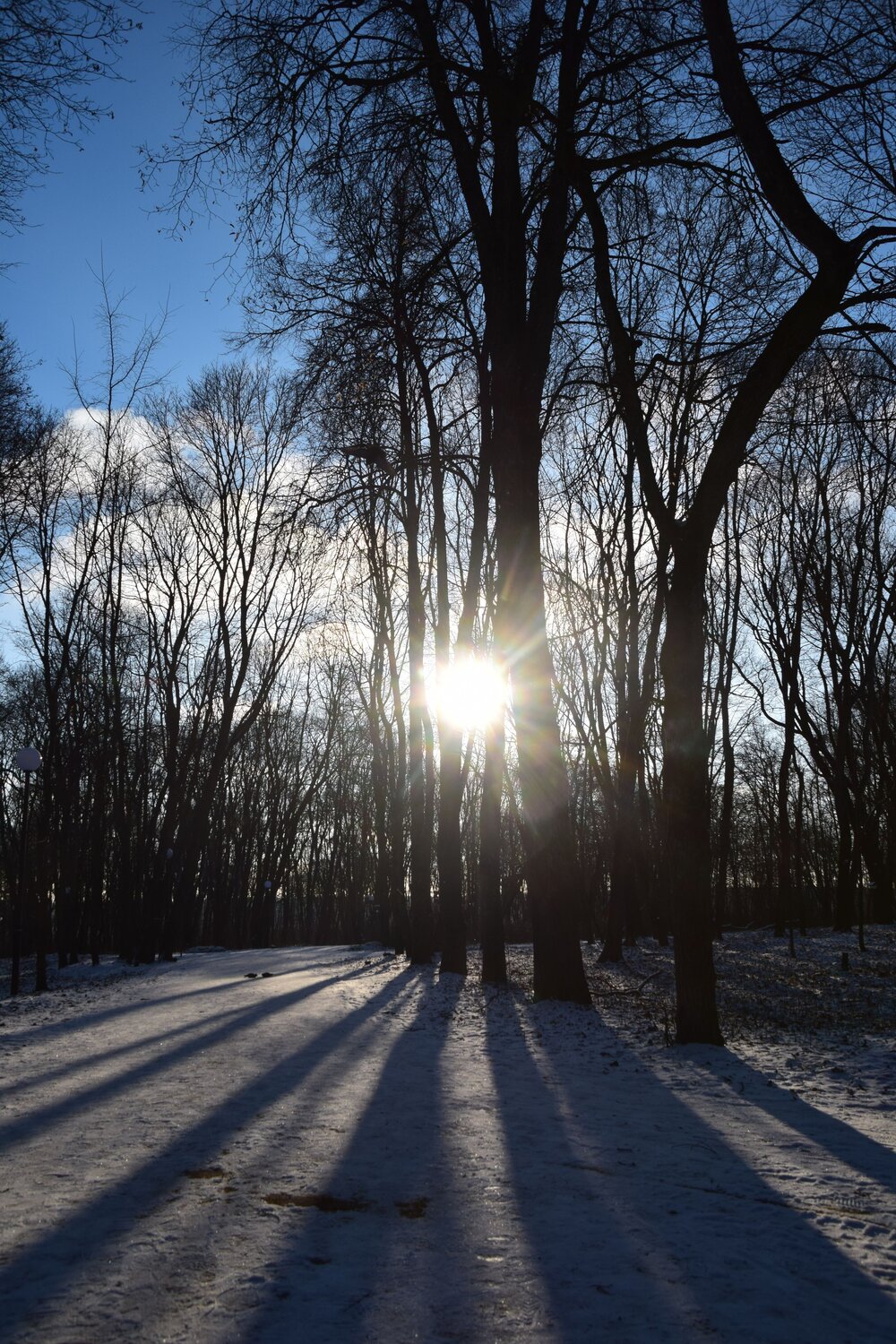 Photo #13887949