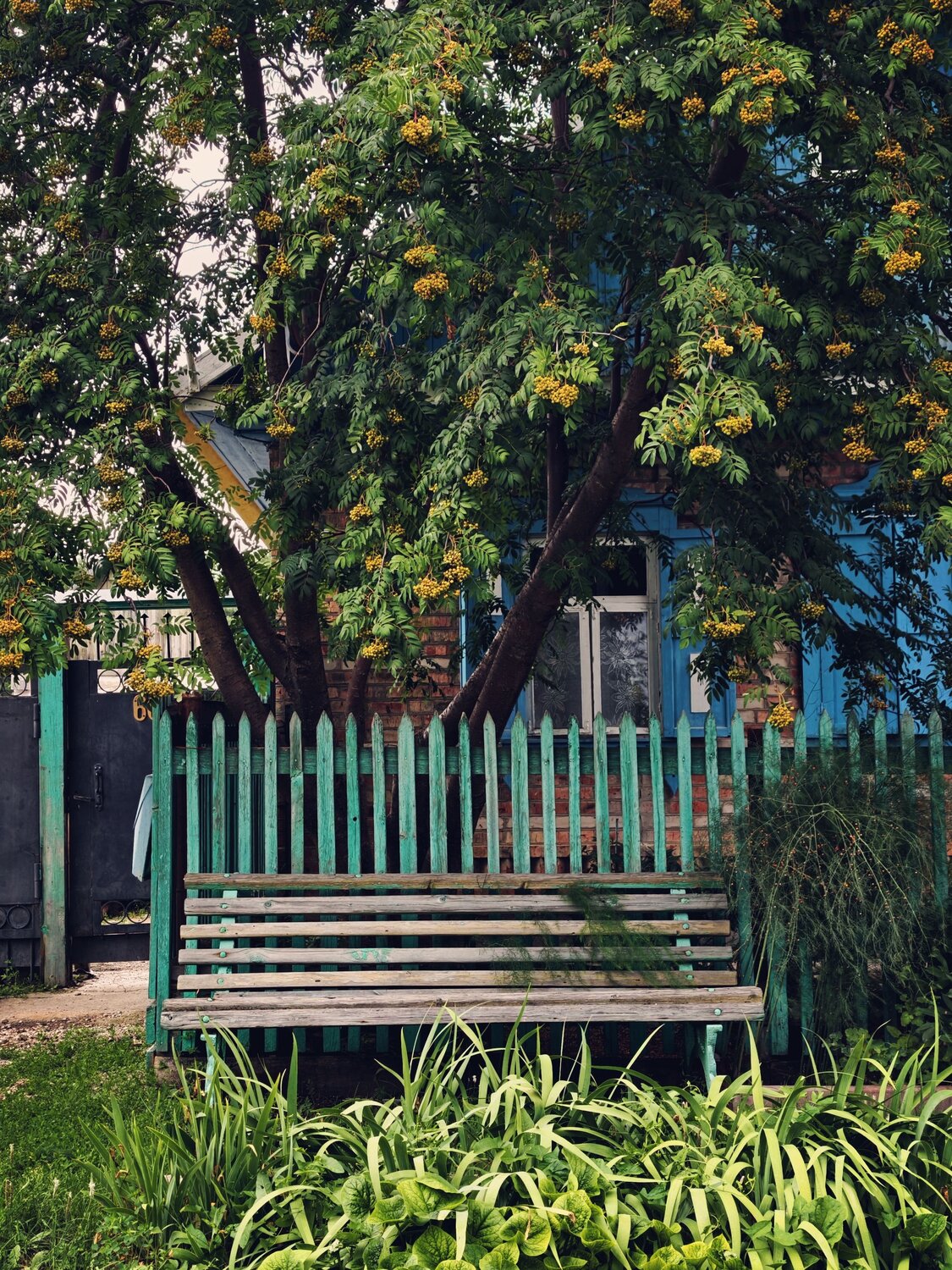 Photo #13887994